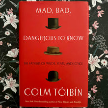 Load image into Gallery viewer, Colm Tóibín - Mad, Bad, Dangerous to Know
